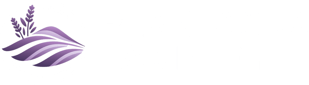 Plantacja Lawendy