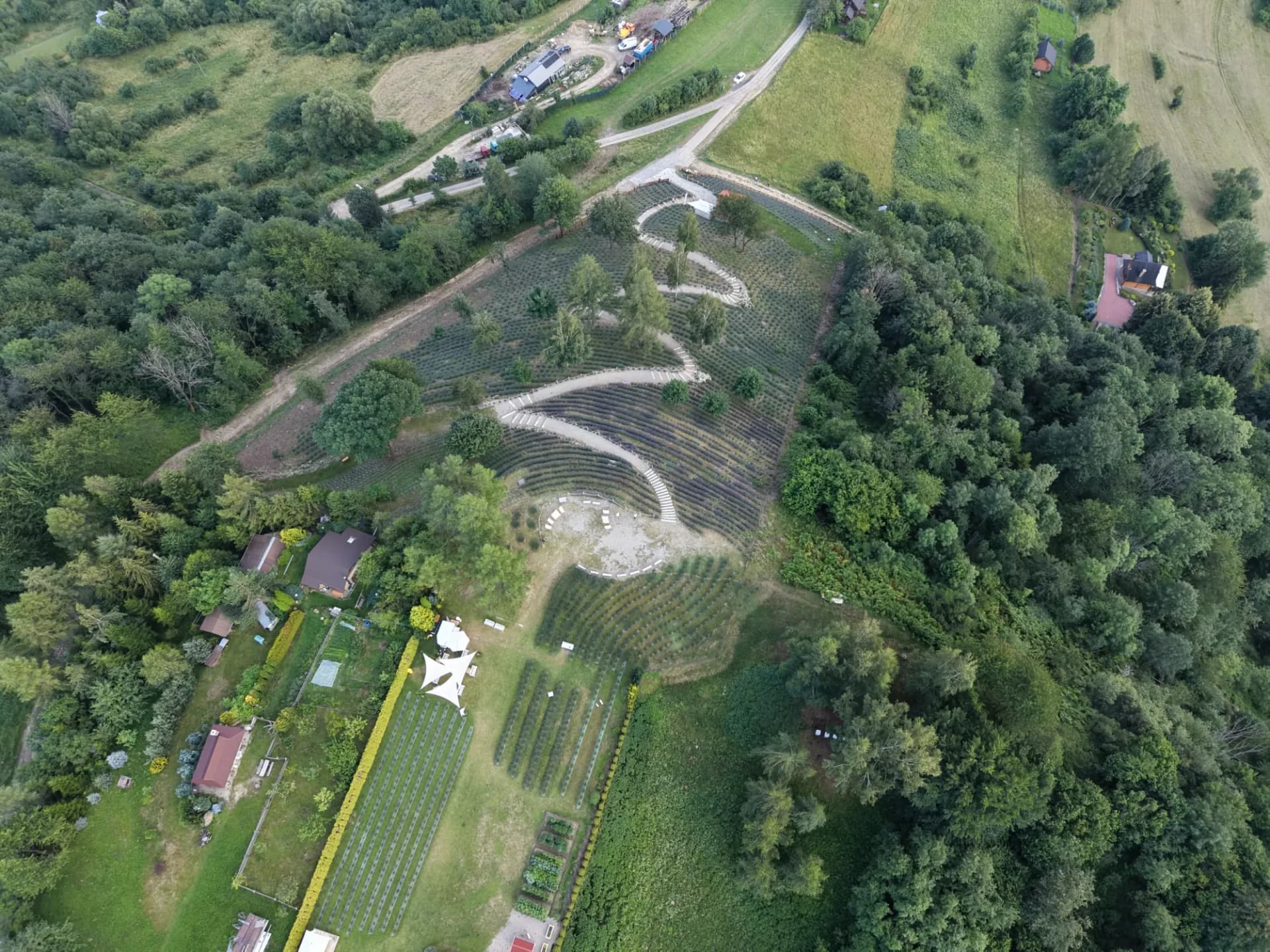 Widok z góry na całe założenie Lawendowych Wzgórz - tarasy, ścieżki i okoliczne gospodarstwa