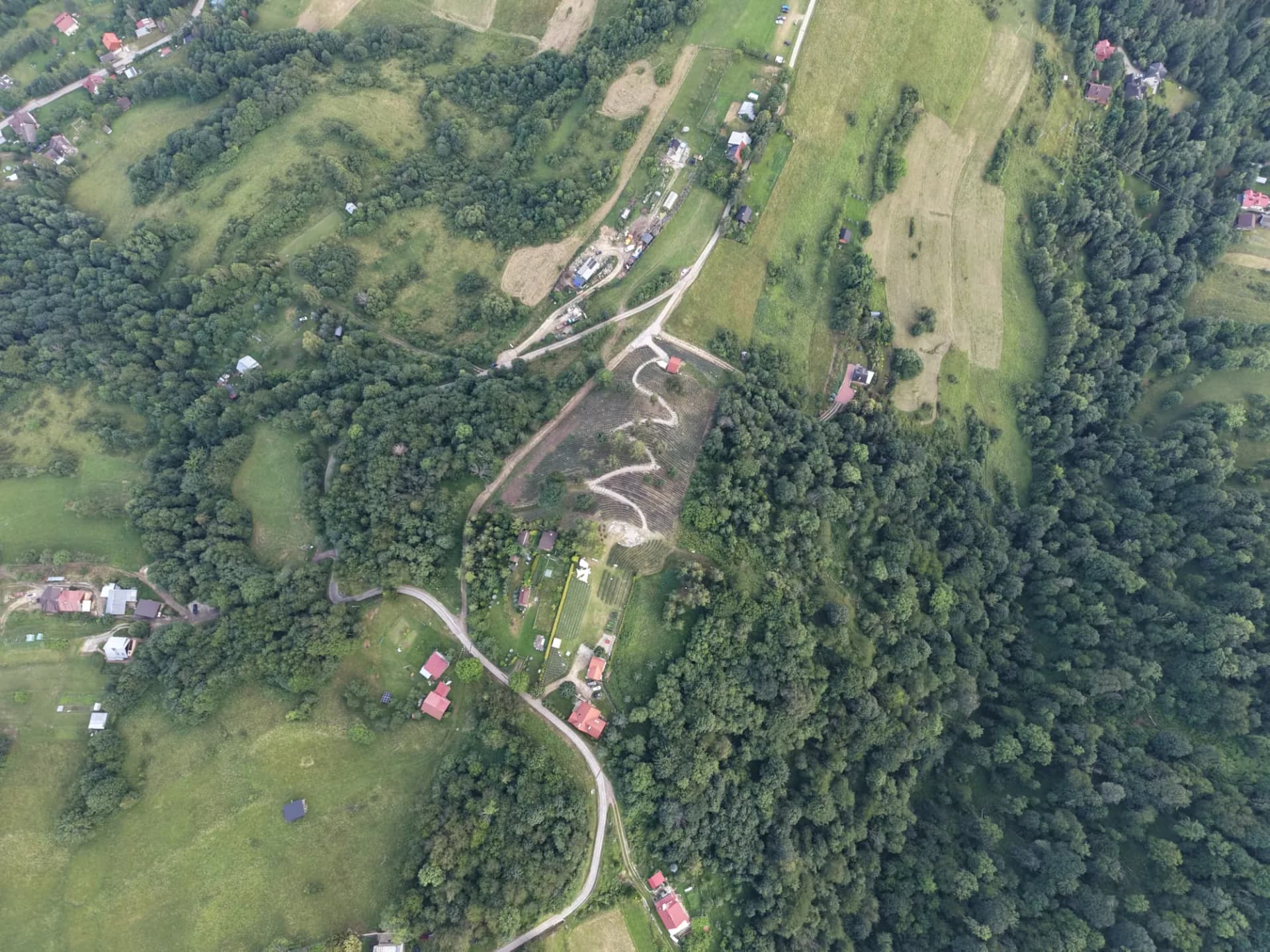 Panorama okolic Szczawnicy z wysokości - zalesione zbocza, pola i zagroda z plantacją lawendy