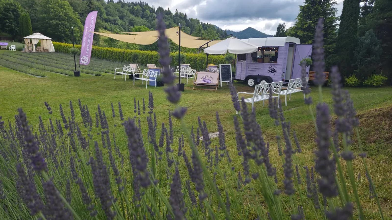 Kawiarnia w lawendowym food trucku z leżakami, w tle góry Pienin
